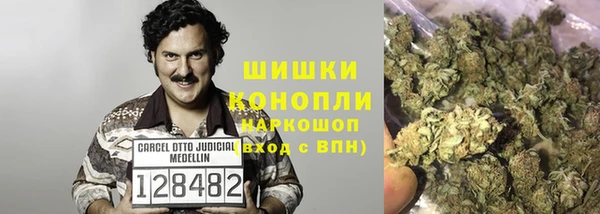 индика Наволоки