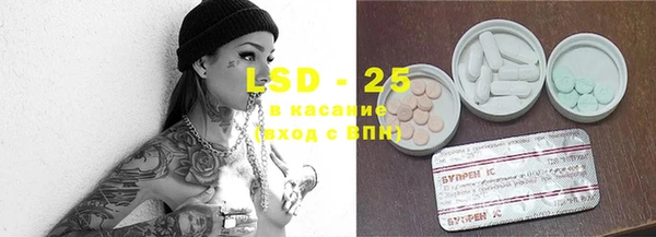 ешки Надым