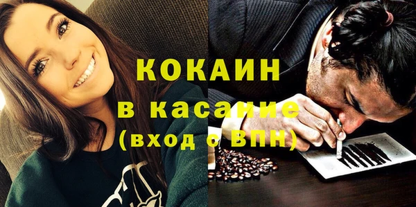 индика Наволоки