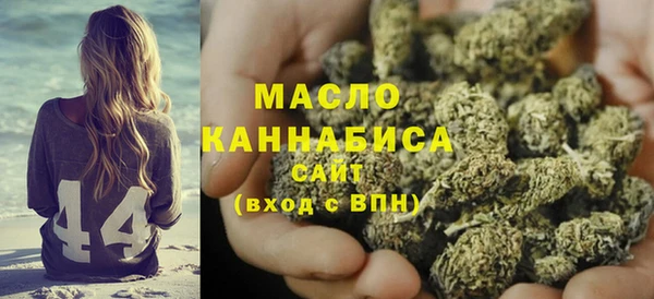 индика Наволоки