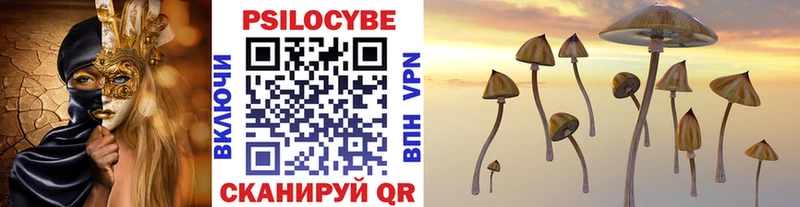 Купить закладки  Новосиль  Галлюциногенные грибы Cubensis 